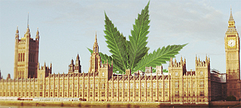 Britain-cannabis_